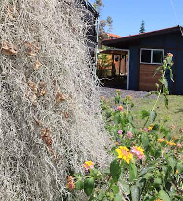 12-7037 Puulena St, Pahoa, HI 96778