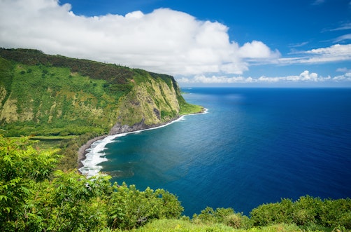 Search and view Hamakua real estate for sale.  Our listings are updated in real time, giving our customers a clear advantage in the Hamakua home buyers market!