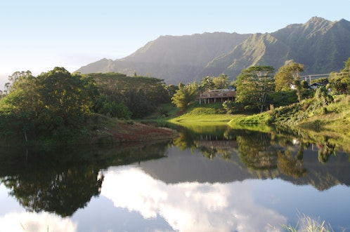 Search and view Kawaihau real estate for sale.  Our listings are updated in real time, giving our customers a clear advantage in the Kawaihau home buyers market!