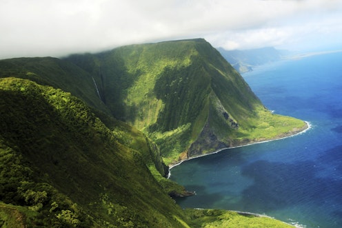 Search and view Molokai real estate for sale.  Our listings are updated in real time, giving our customers a clear advantage in the Molokai home buyers market!