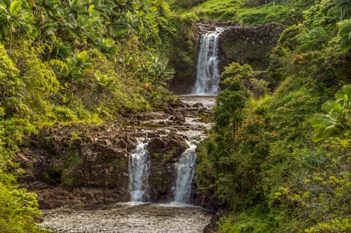 Search and view North Hilo real estate for sale.  Our listings are updated in real time, giving our customers a clear advantage in the North Hilo home buyers market!