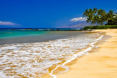 Search and view South Maui real estate for sale.  Our listings are updated in real time, giving our customers a clear advantage in the South Maui home buyers market!