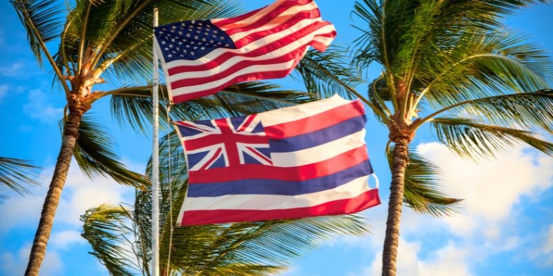 Hawaii state flag