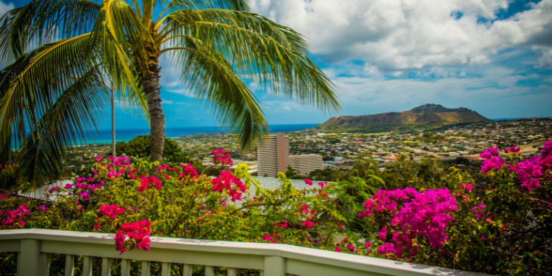 waialae iki view