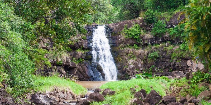 waimea valley