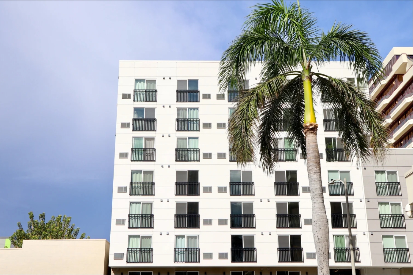 The Block 803 Waimanu - Building Overview