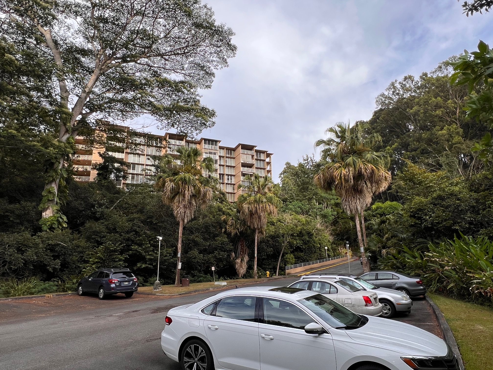 Waiakalani Woodlands from the parking lot