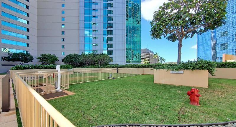 Hokua Gated Dog Park