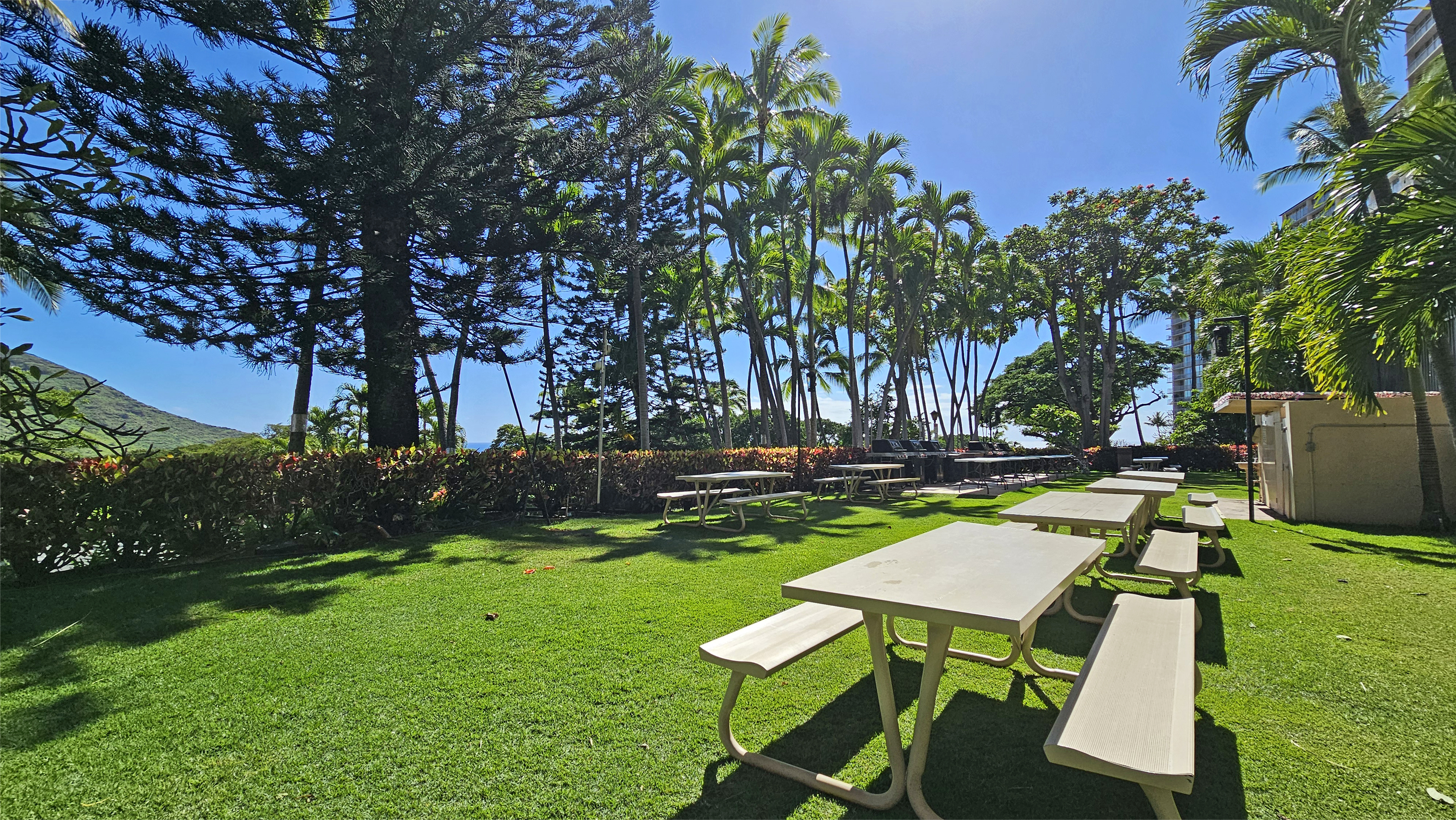 Makaha Valley Towers - BBQ lawn area