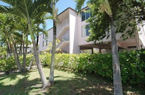 1936 Wilder Ave, Honolulu, Hi, 96822