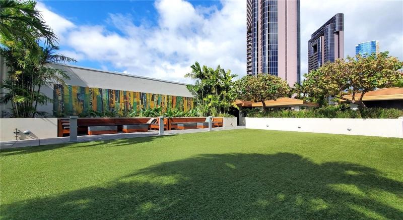 The Collection: Recreation Deck