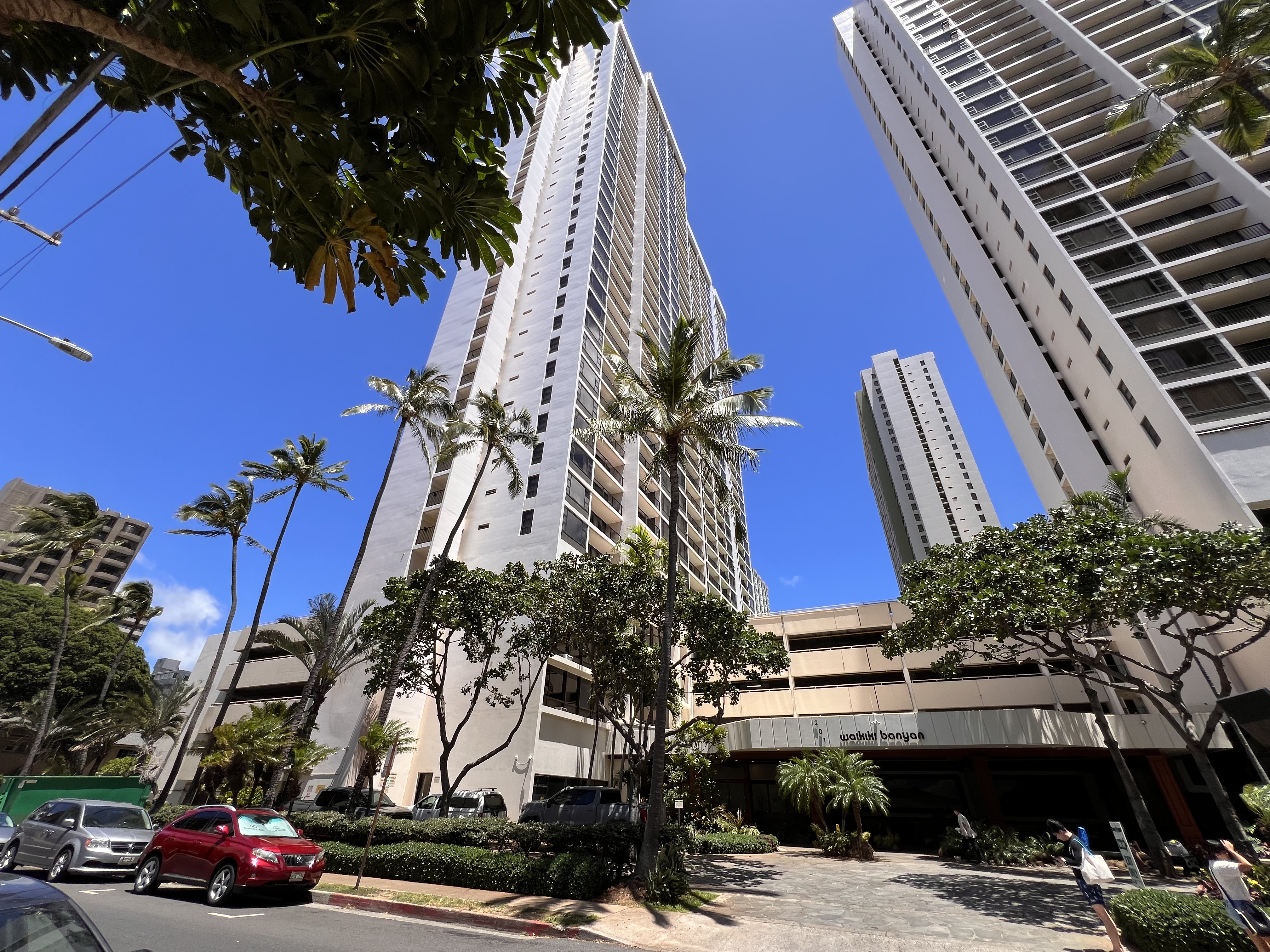 Waikiki Banyan