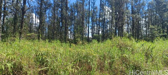 6TH Ooaa Road, Mountain View, HI 96771