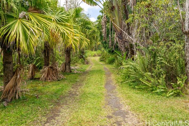 16-1530 36Th Avenue, Kurtistown, HI 96760