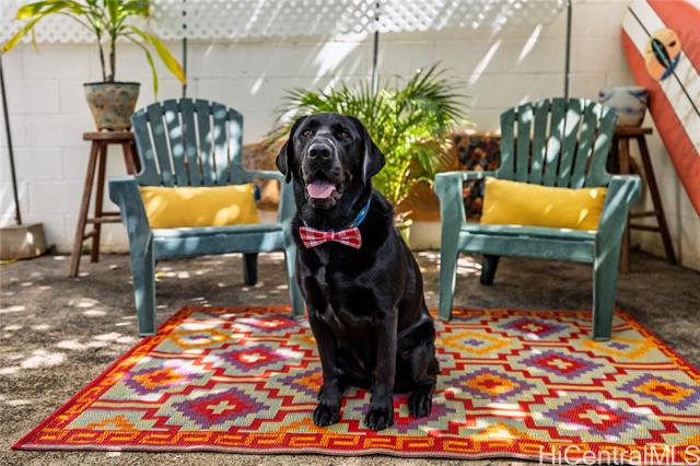 3410 Leahi Avenue, 101, Honolulu, HI 96815