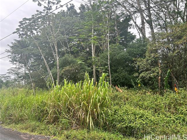 - 14Th Avenue, Keaau, HI 96749