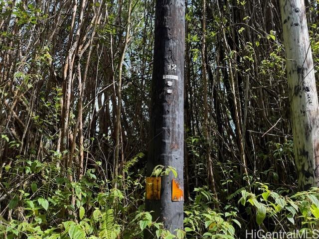 17-3352 Maunalani Road, Mountain View, HI 96771