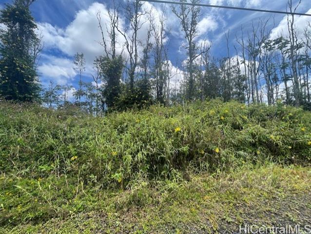 16-2143 Tradewind Drive, Pahoa, HI 96778