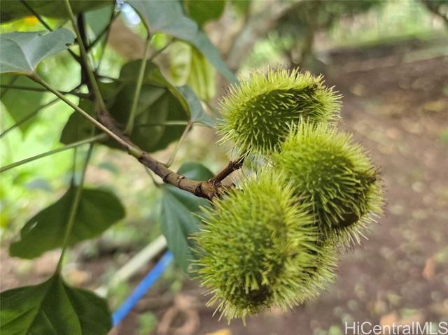 94-1100 Kunia Road, 86F, Waipahu, HI 96797