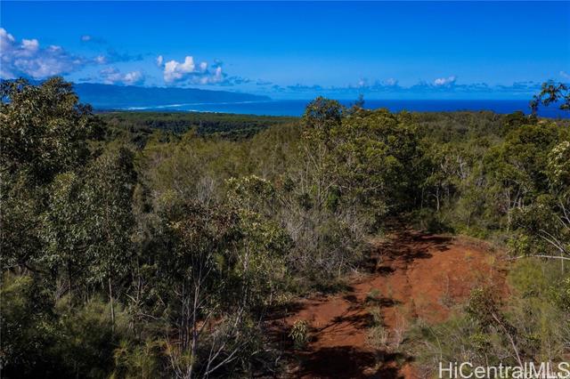 59 Maulukua Road, Haleiwa, HI 96712