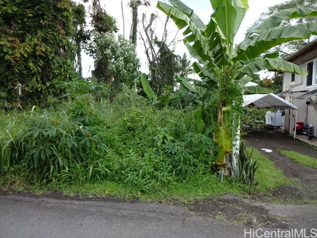 141 Manini Street, Hilo, HI 96720
