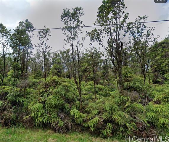 0 Ohia Avenue, 22, Mountain View, HI 96771