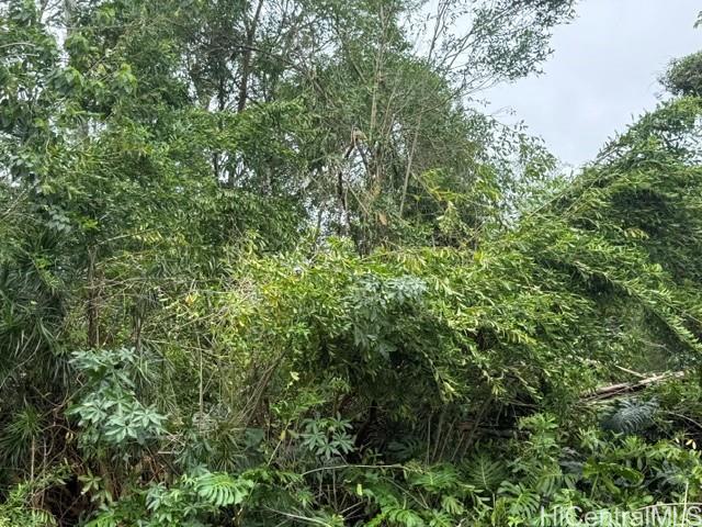15-716 Puni Mauka Loop, Pahoa, HI 96778