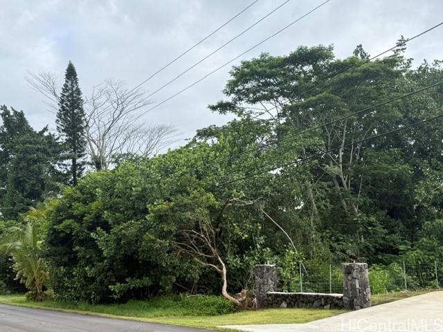 15-611 Beach Road, Keaau, HI 96749