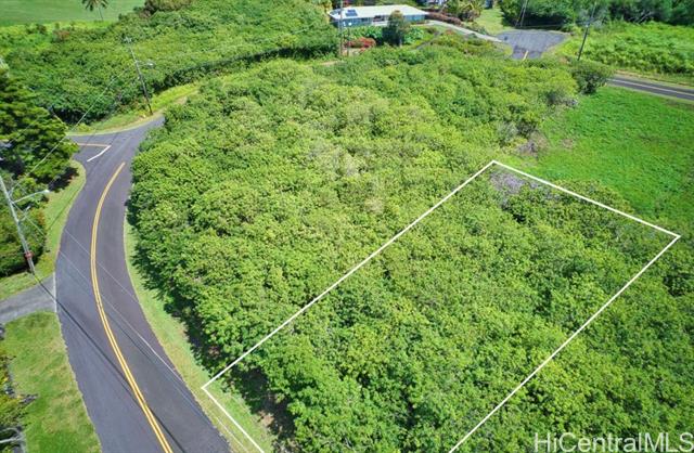 1687 Kaulua Street, Naalehu, HI 96772