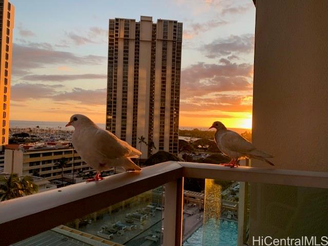 410 Atkinson Drive, 1022, Honolulu, HI 96814