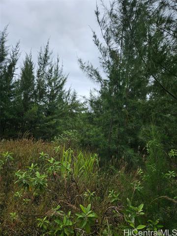 LOT 2782 2Nd Avenue, 2782, Keaau, HI 96749