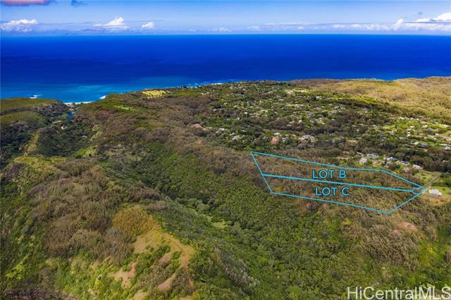 59 Maulukua Road, Haleiwa, HI 96712