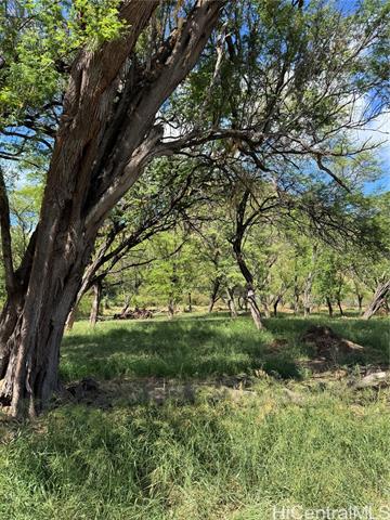 New Vacant Land for sale in Leeward, $1,249,000
