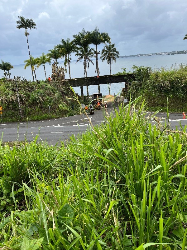 474-A Wainaku St, Hilo, HI 96720