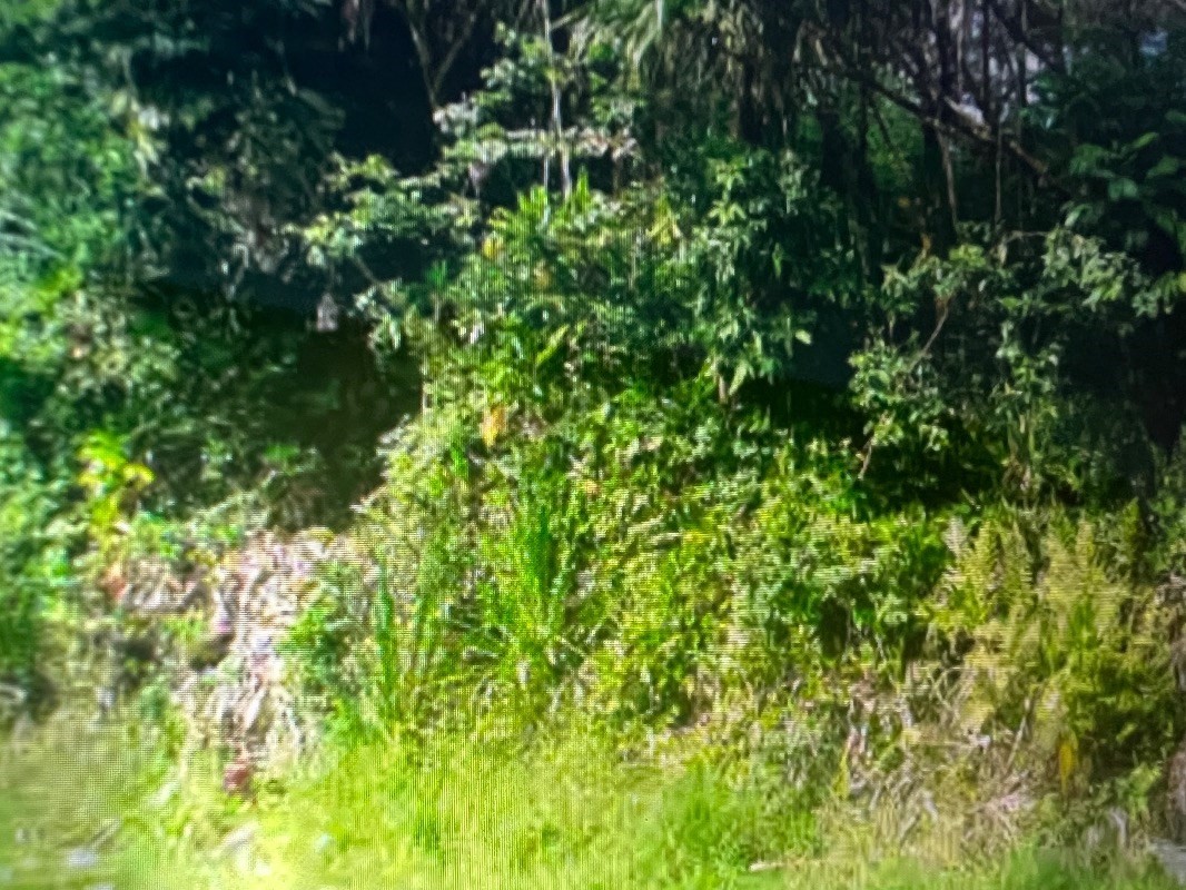 15-243 Puni Makai Loop, Pahoa, HI 96778