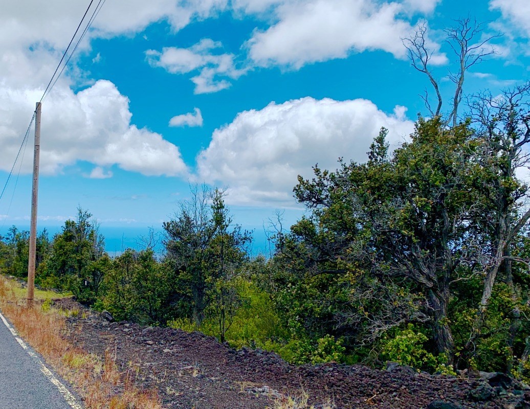 92-8429 Koa Ln, Ocean View, HI 96737