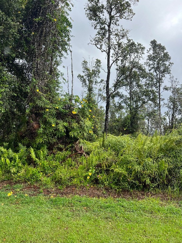 15-2807 Maikoiko St, Pahoa, HI 96778