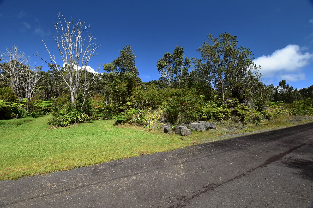 19-3160 Mamaki Ln, Volcano, HI 96785