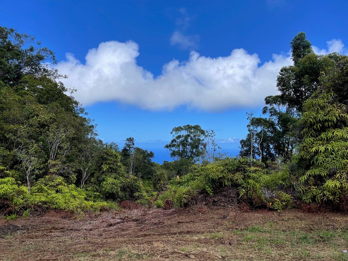 30 Homestead Rd, Laupahoehoe, HI 96764