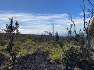 92-2734 Anuenue Dr, Ocean View, HI 96737