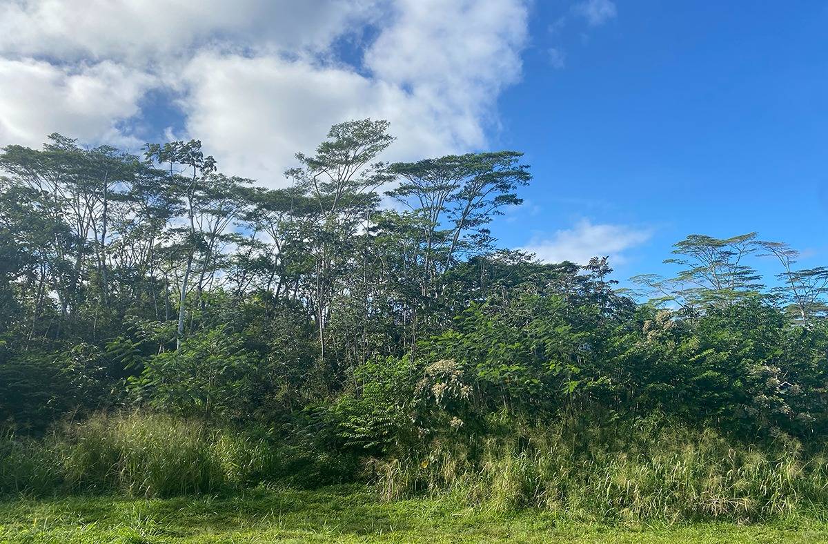 15-2778 Nehu St, Pahoa, HI 96778