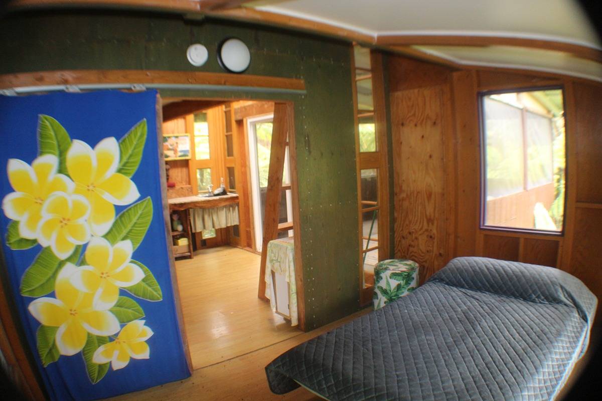 11-3754 Nahelenani St, Volcano, HI 96785