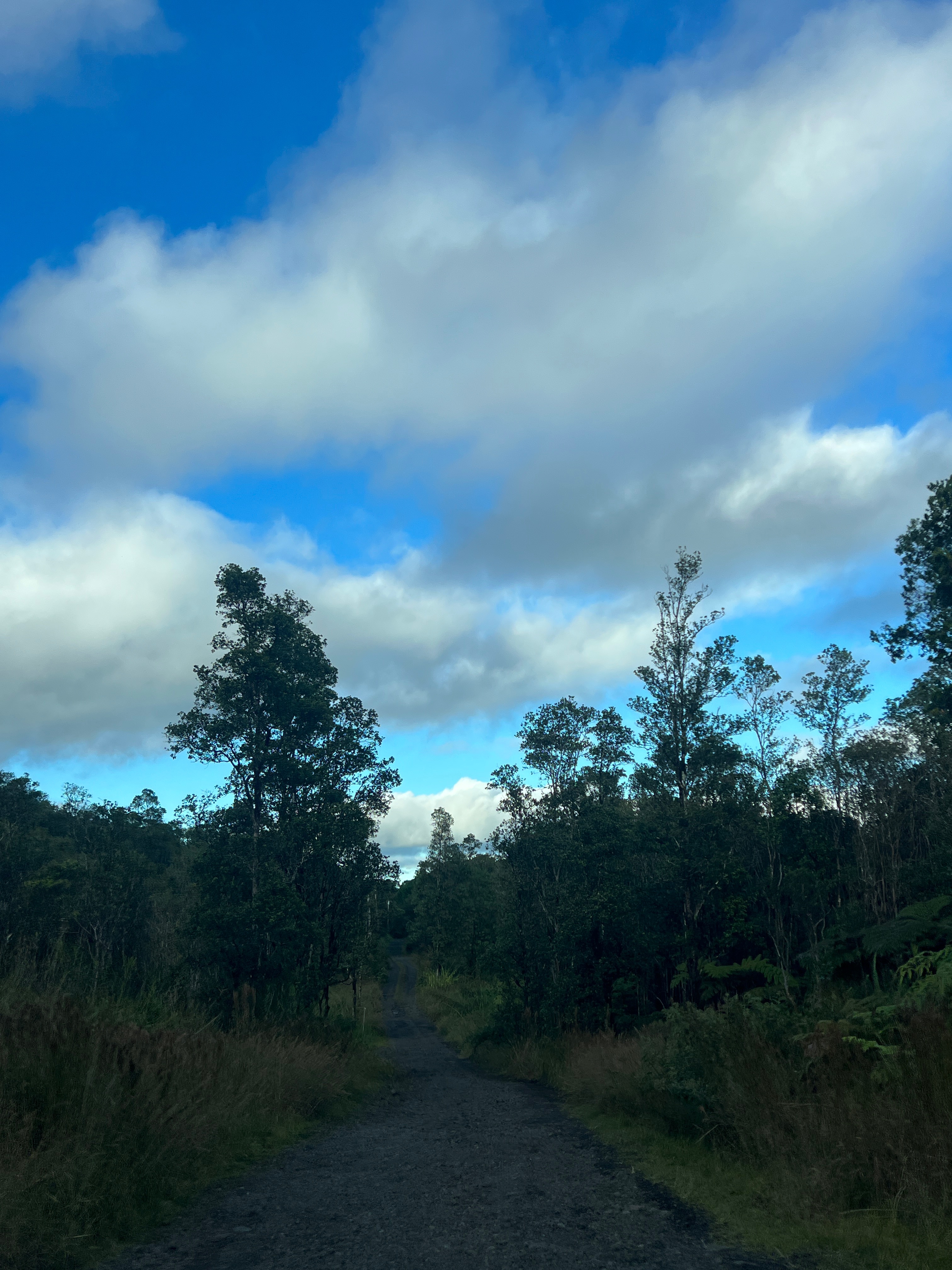 18-2344 Road 2, Volcano, HI 96785