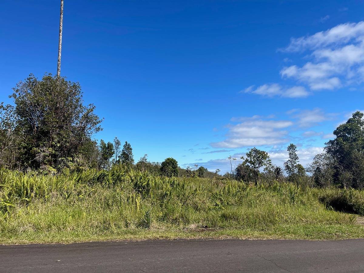 18-4120 Lehuanani St, Volcano, HI 96785