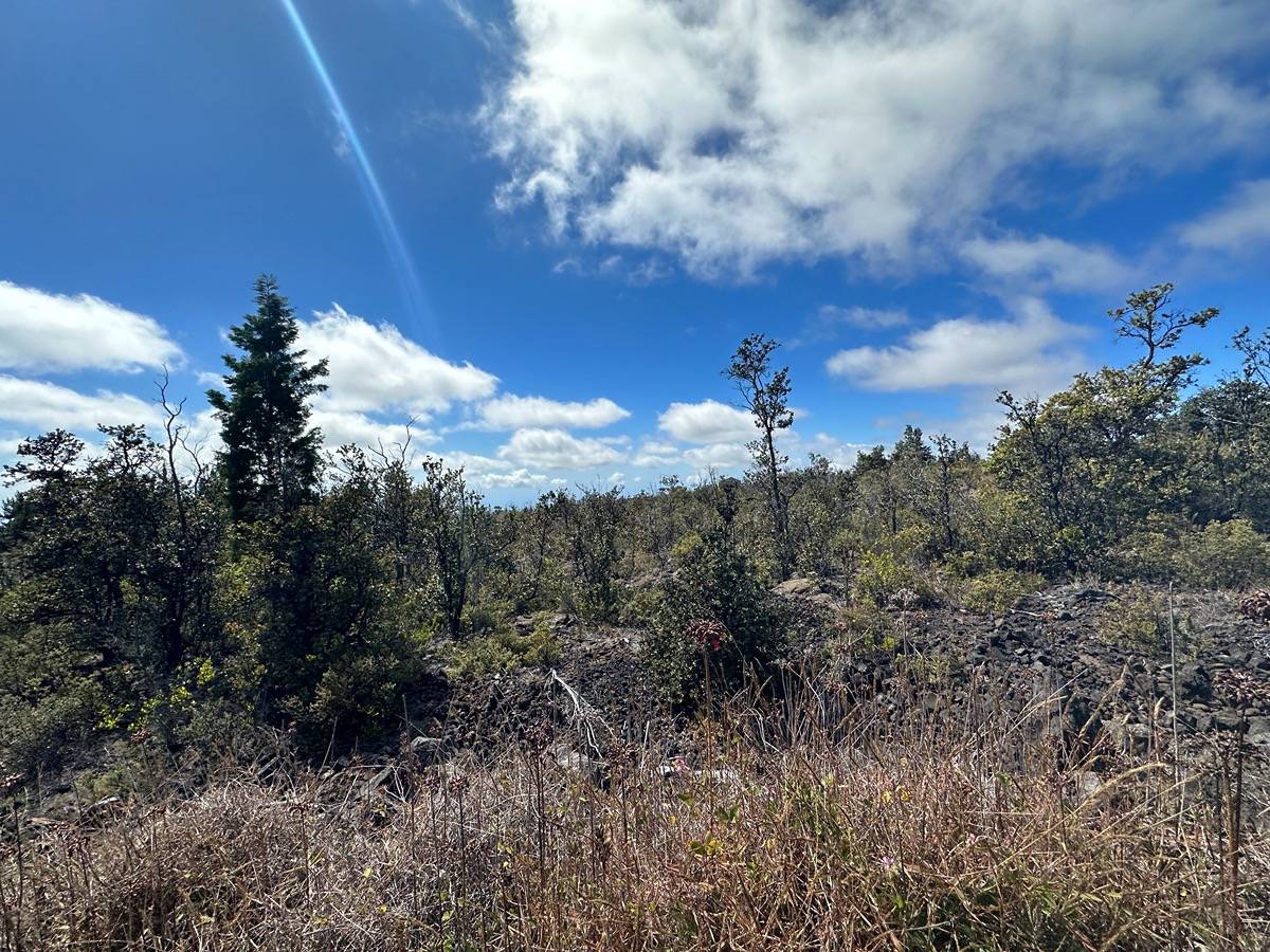 92-8529 Koa Ln, Ocean View, HI 96737