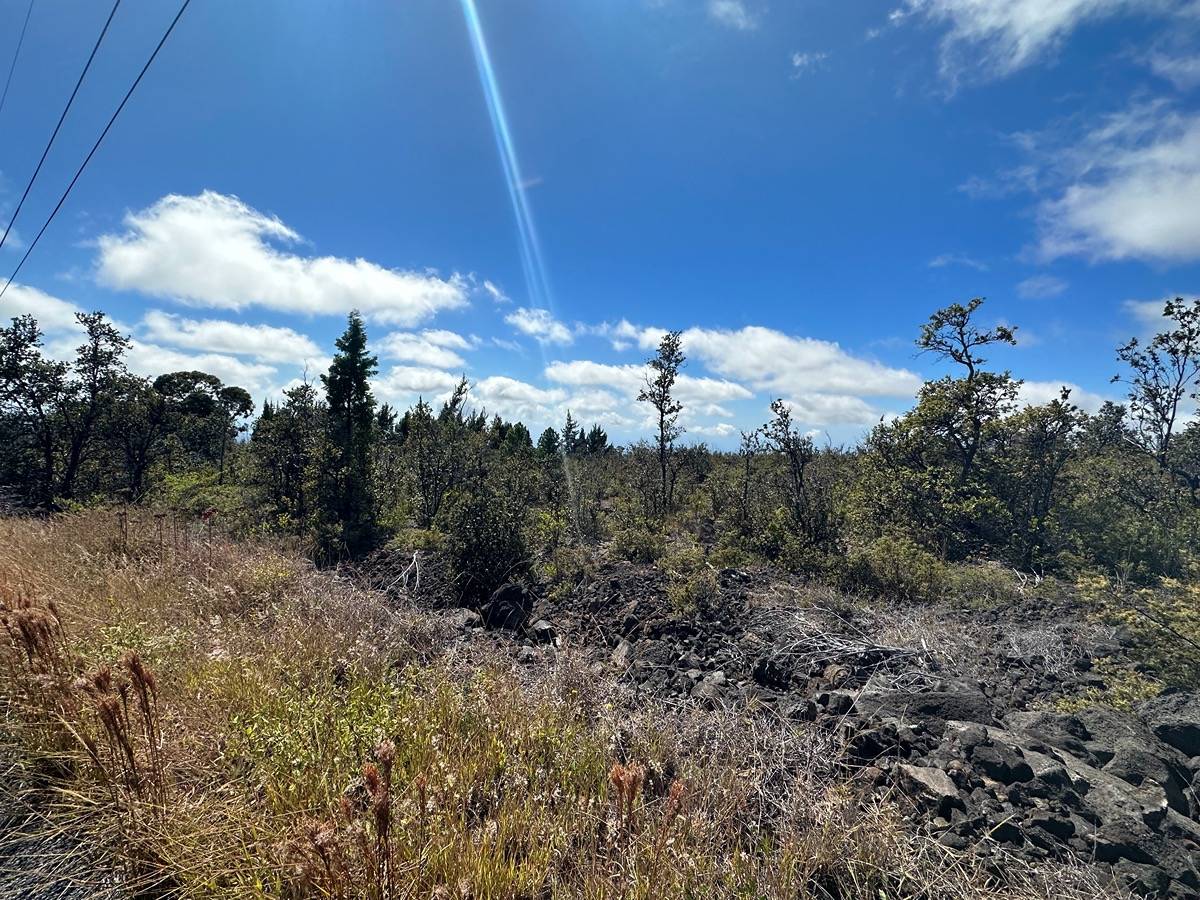 92-8527 Koa Ln, Ocean View, HI 96737