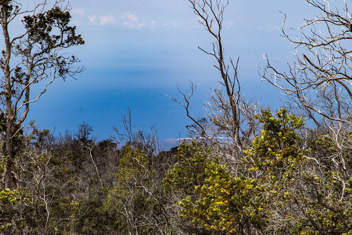 92-9054 Tiki Ln, Ocean View, HI 96737