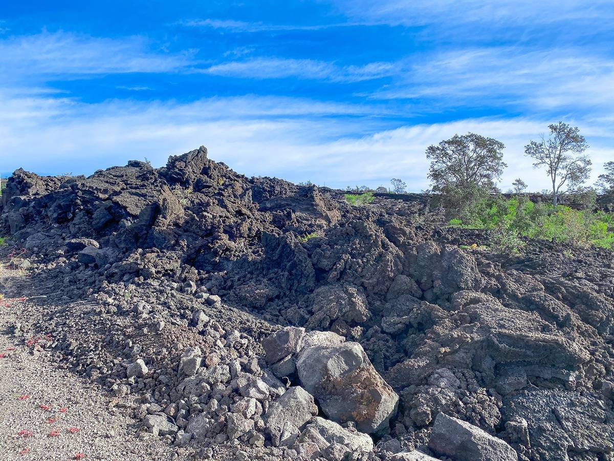 92-8272 Liliana Ln, Ocean View, HI 96737