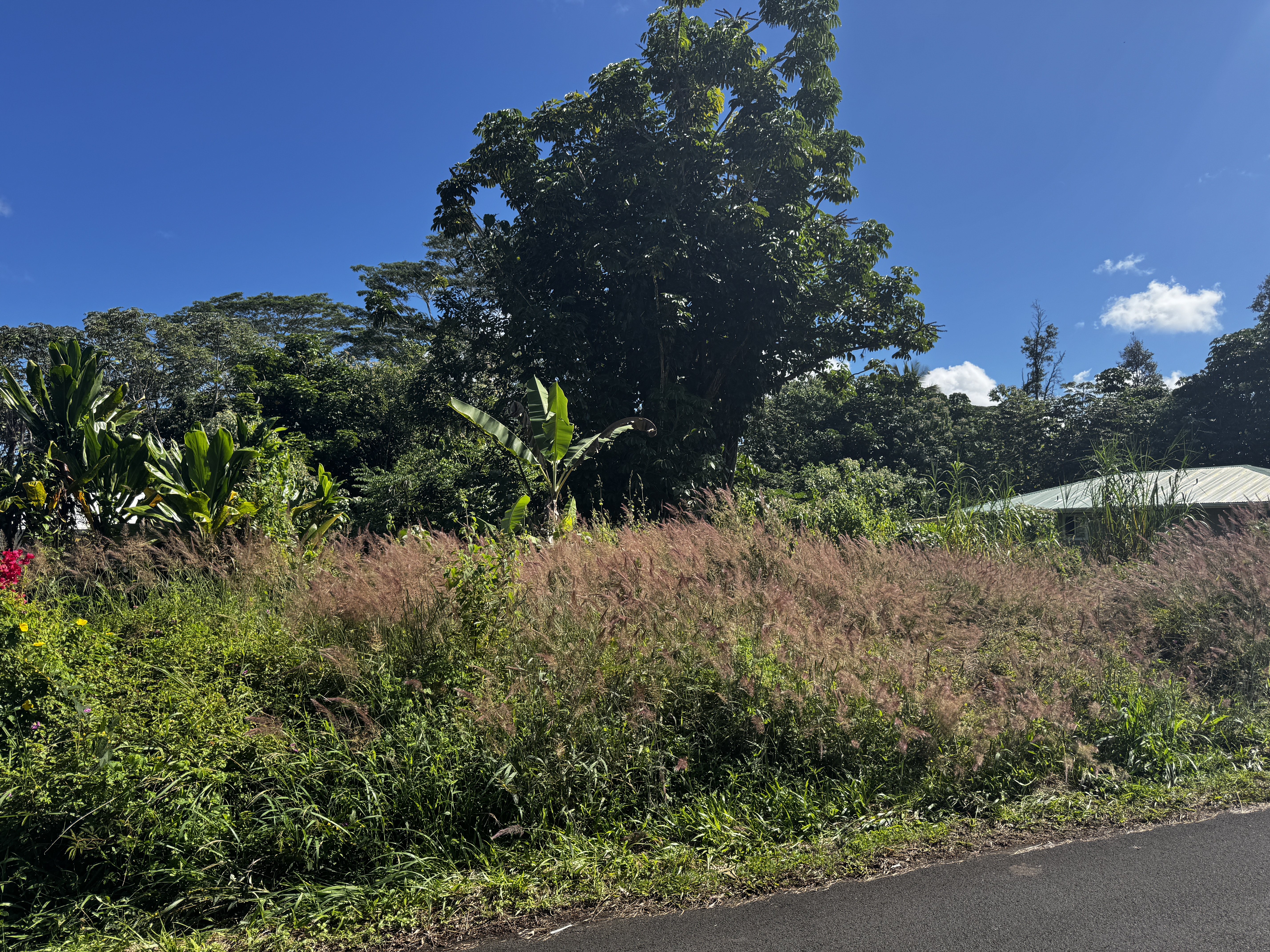 15-407 Puni Makai Loop, Pahoa, HI 96778