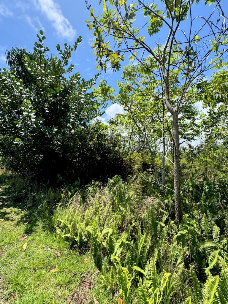 15-1846 1St Ave, Keaau, HI 96749